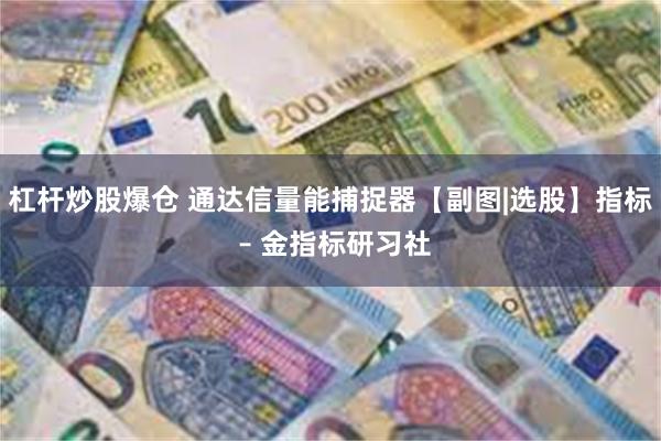 杠杆炒股爆仓 通达信量能捕捉器【副图|选股】指标 – 金指标研习社