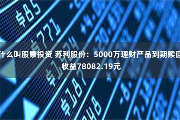 什么叫股票投资 苏利股份：5000万理财产品到期赎回 收益78082.19元