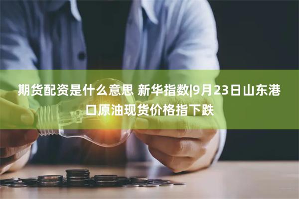 期货配资是什么意思 新华指数|9月23日山东港口原油现货价格指下跌