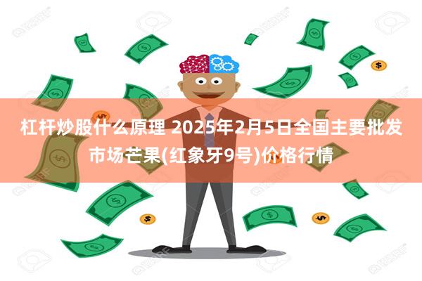 杠杆炒股什么原理 2025年2月5日全国主要批发市场芒果(红象牙9号)价格行情