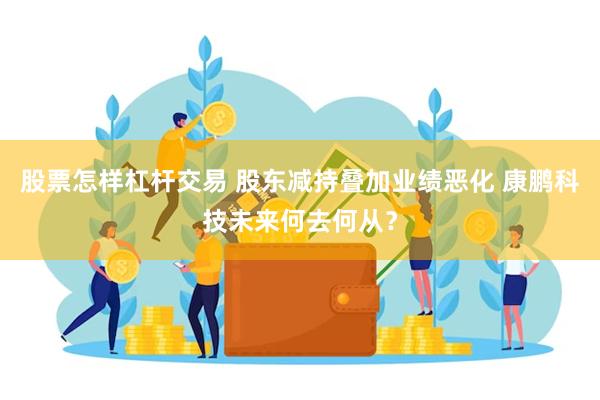 股票怎样杠杆交易 股东减持叠加业绩恶化 康鹏科技未来何去何从？